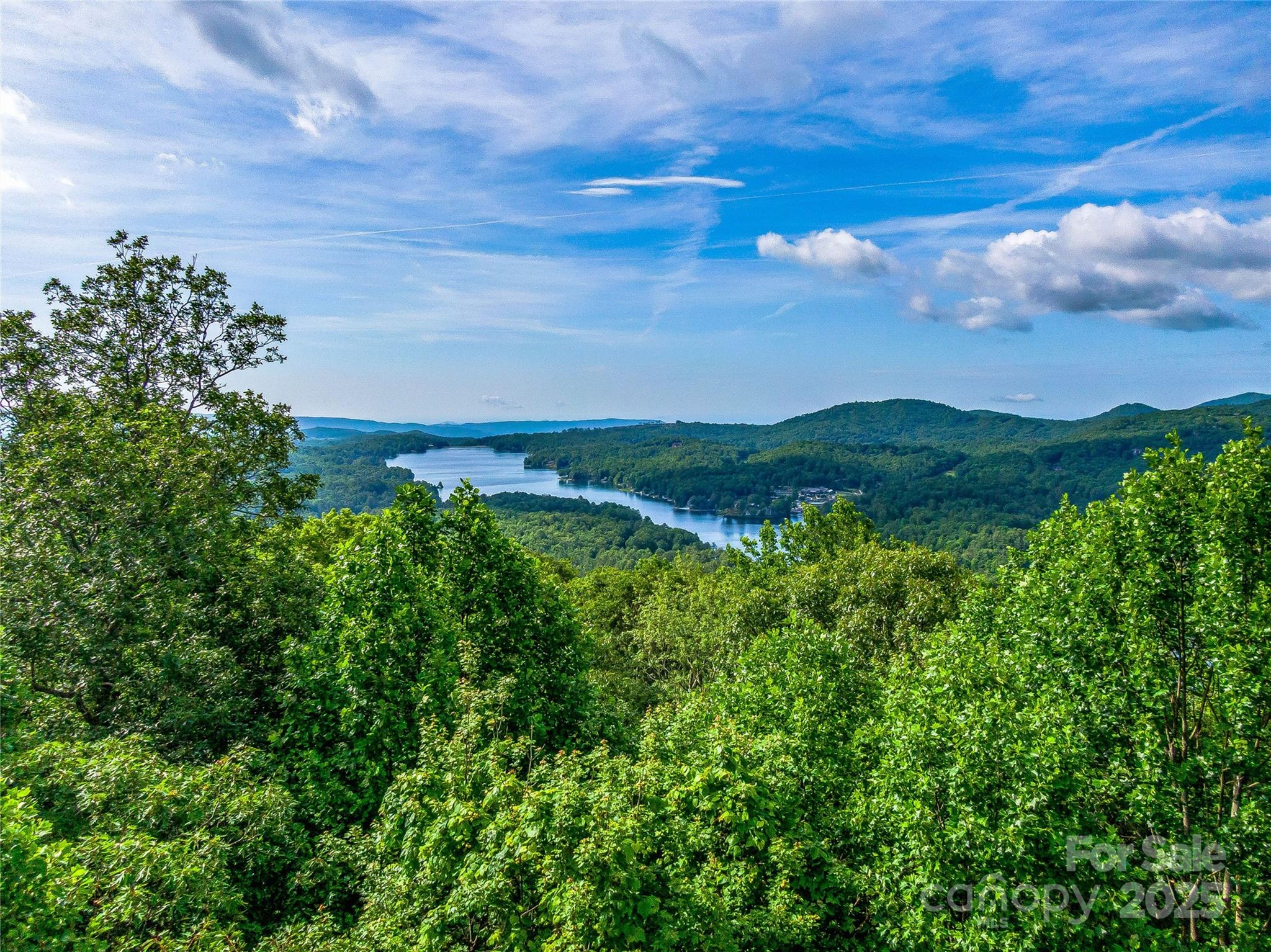 L-22 Panther Ridge Road Lake Toxaway, NC 28747 - Photo 9 of 24 Gallery Image 9
