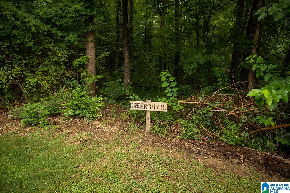 564 Hackberry Ridge Trace Birmingham, AL 35226 - Photo 40 of 41