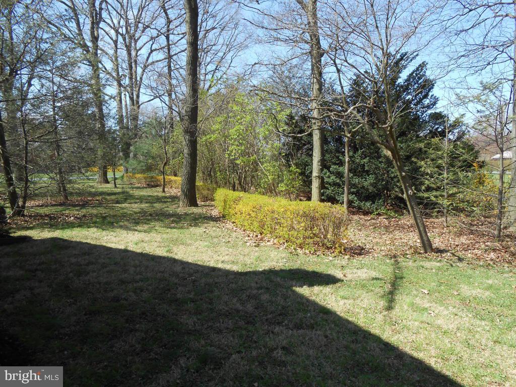 1666 Shumaker Road Manheim, PA 17545 - Photo 10 of 29