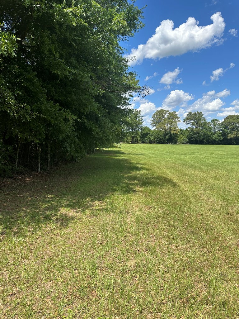 3845 Old Atmore Road Flomaton, AL 36441 - Photo 5 of 9