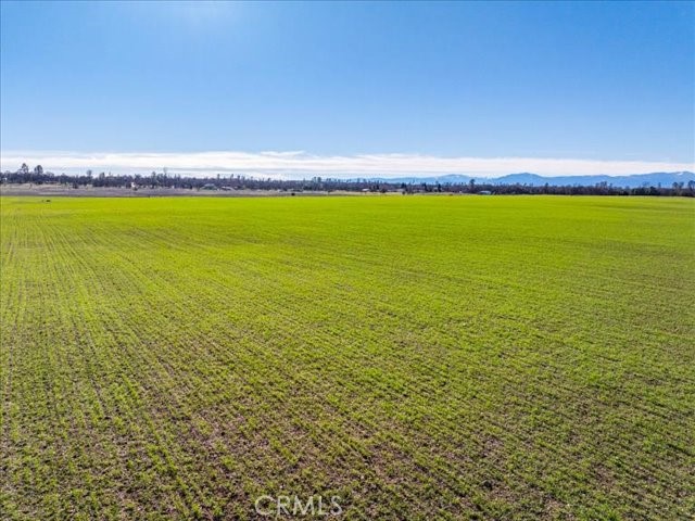 0 Old Gold Road Cottonwood, CA 96022 - Photo 10 of 53