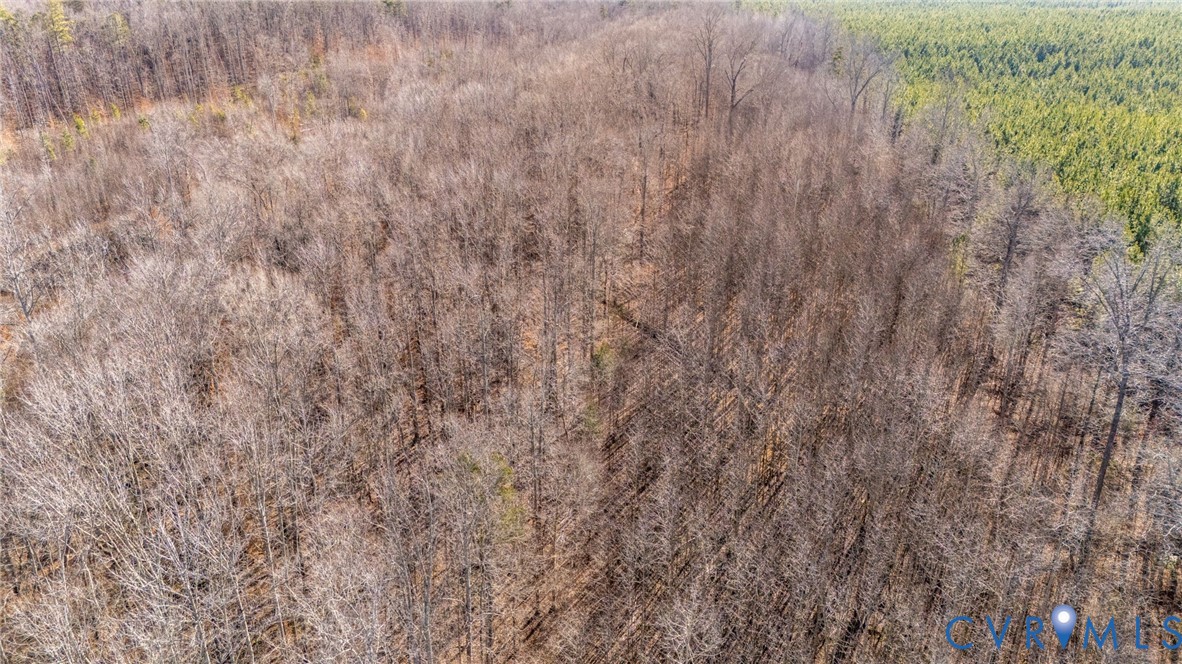 623 Worsham Road Powhatan, VA 23139 - Photo 6 of 13