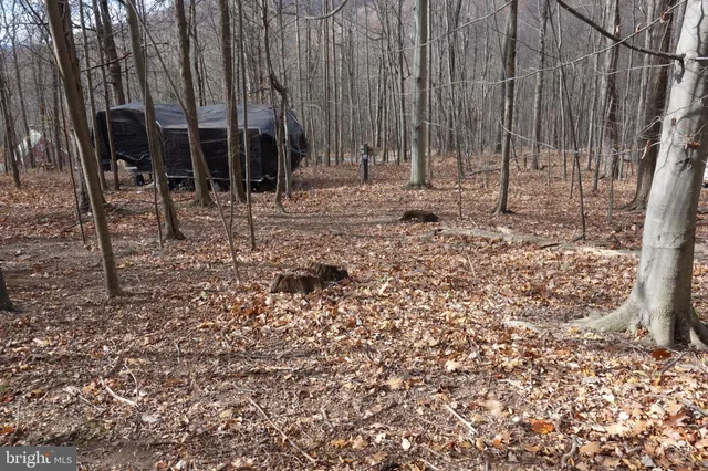 a house view with a outdoor space