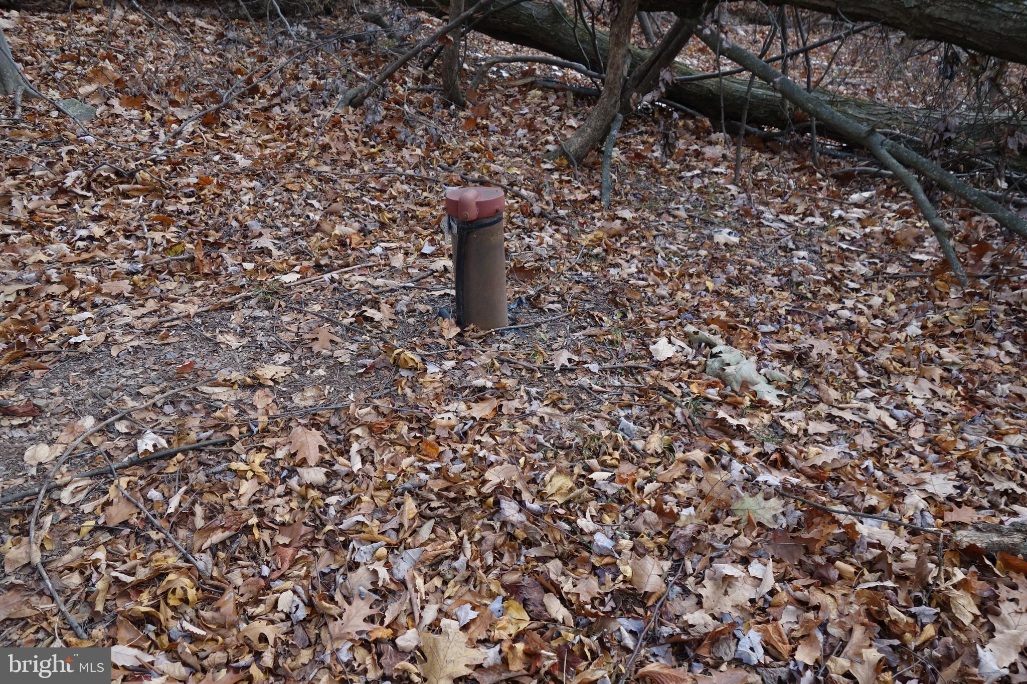 22556 Loop Road Doylesburg, PA 17219 - Photo 6 of 6 a picture of a tree