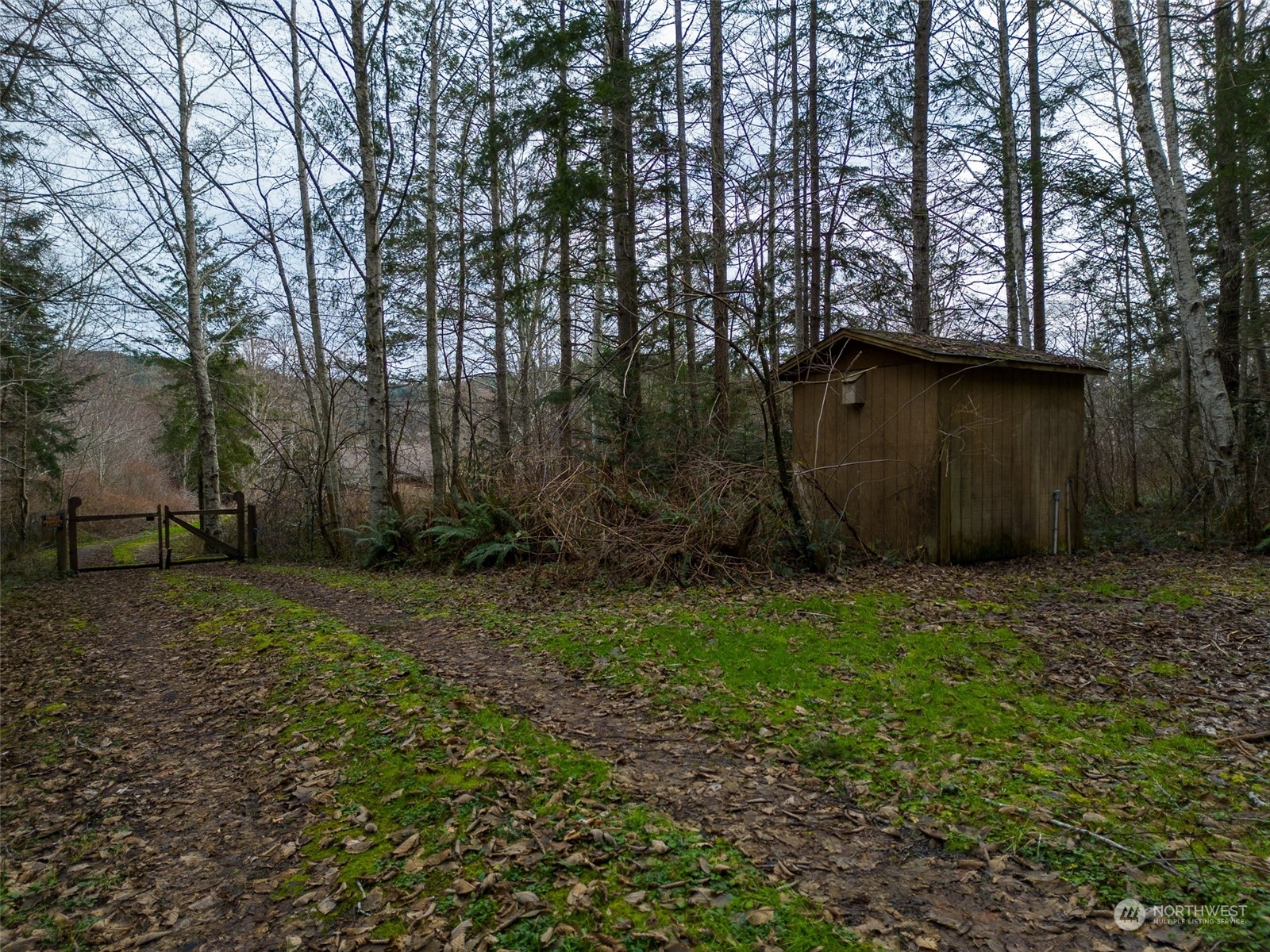 981 Carl Johnson Road Quilcene, WA 98376 - Photo 13 of 15 a view of a backyard