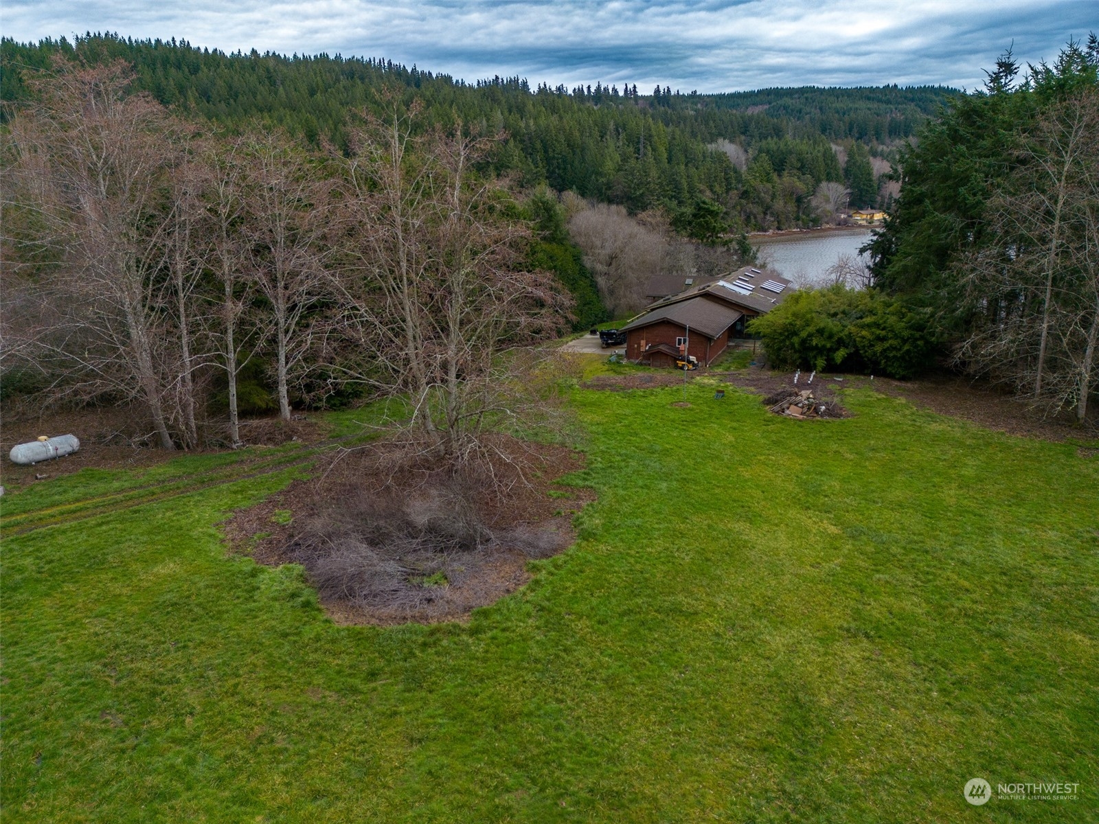 981 Carl Johnson Road Quilcene, WA 98376 - Photo 4 of 15 a view of a grassy field with trees in the background