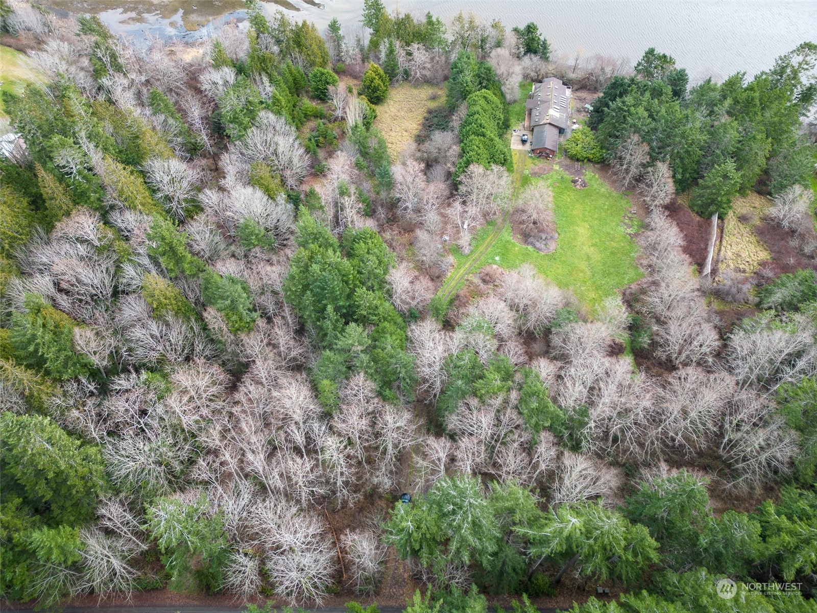 981 Carl Johnson Road Quilcene, WA 98376 - Photo 7 of 15 a view of a lake with lots of trees