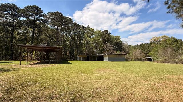 39 Rice Lane Dry Prong, LA 71423 - Photo 35 of 44
