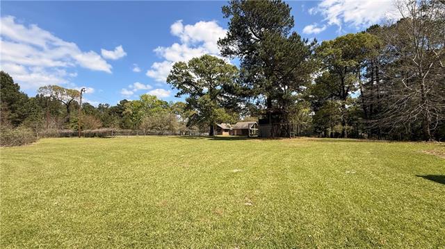 39 Rice Lane Dry Prong, LA 71423 - Photo 40 of 44