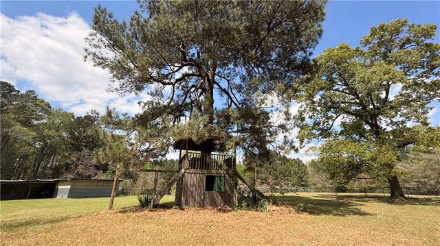 39 Rice Lane Dry Prong, LA 71423 - Photo 41 of 44