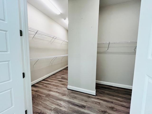 1717 Banks View Drive Raleigh, NC 27603 - Photo 23 of 33 a view of an empty walk in closet