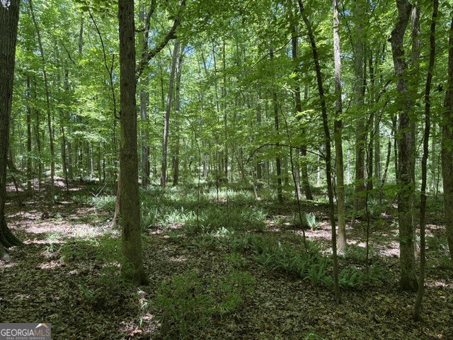 541 South Steel Bridge Road Eatonton, GA 31024 - Photo 2 of 7