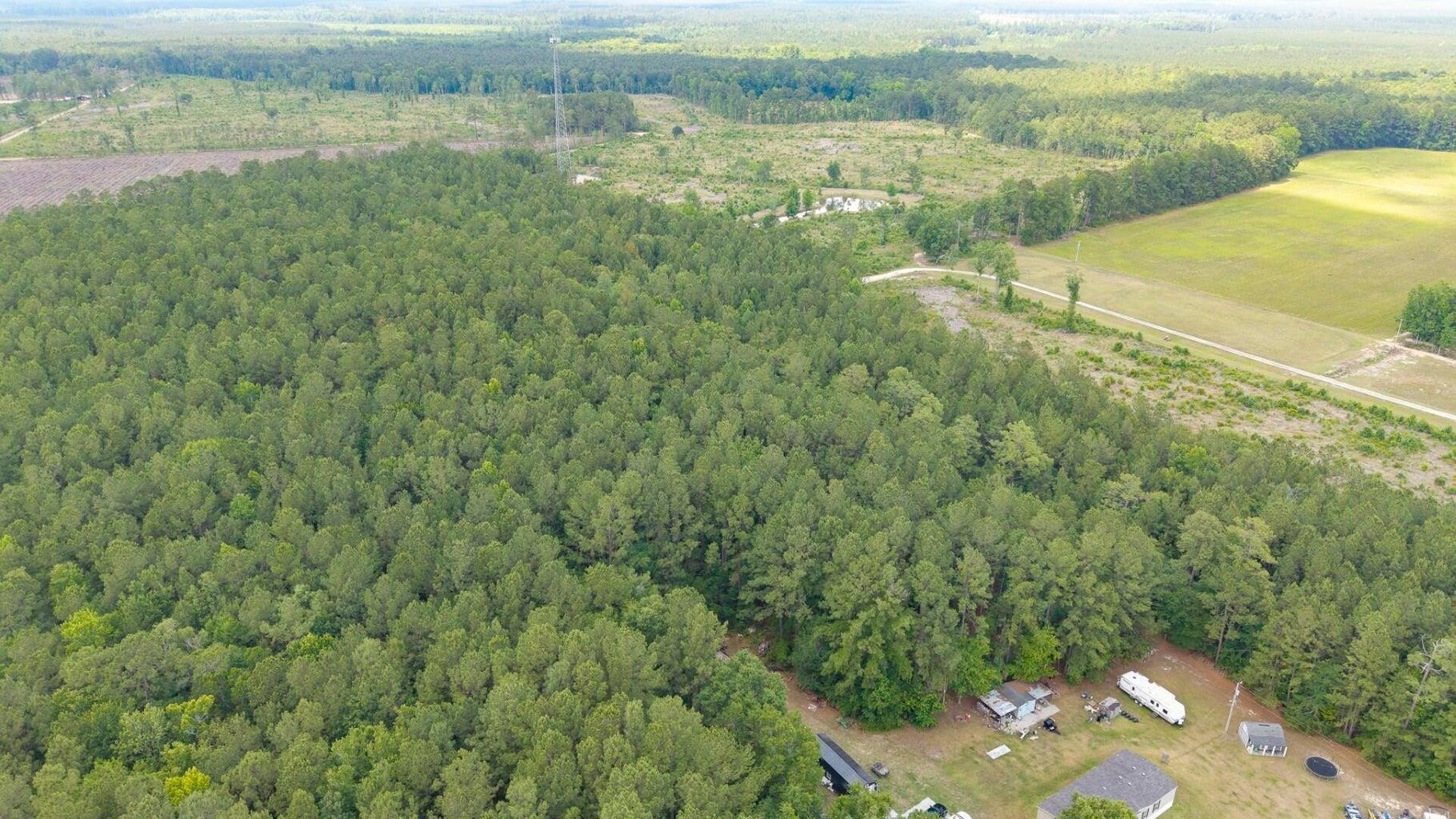 6222 Saints Delight Road Georgetown, SC 29440 - Photo 10 of 27