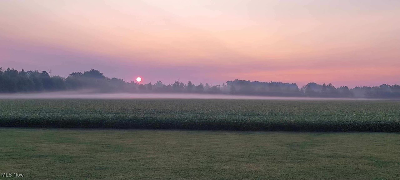 9147 Oberlin Road Elyria, OH 44035 - Photo 44 of 44 Beautiful unobstructed sunrises!