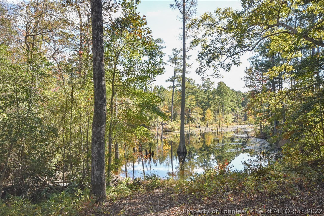 2104 Ponderosa Road Cameron, NC 28326 - Photo 49 of 50 Gallery Image 49