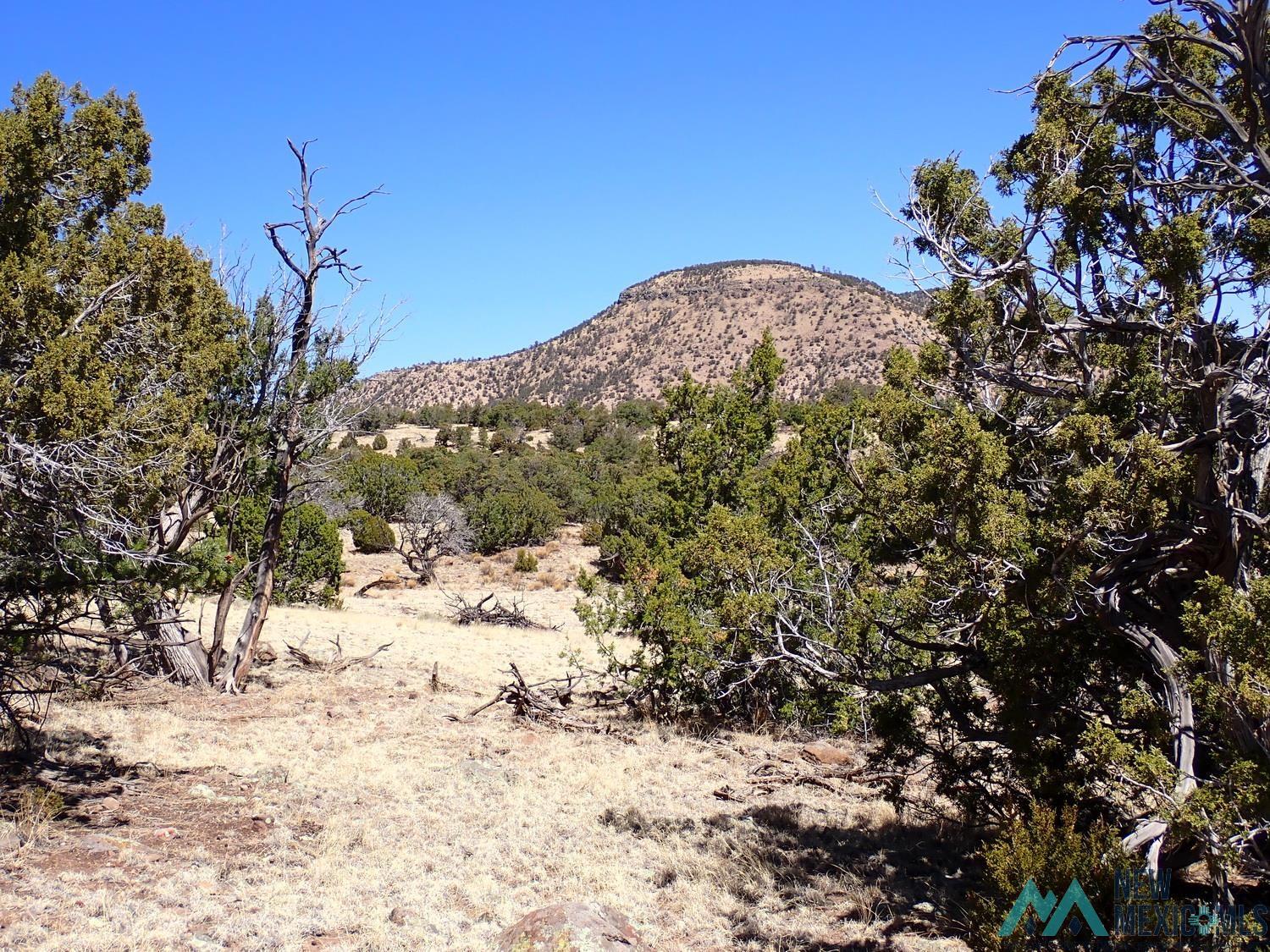 Tanglewood Datil, NM 87821 - Photo 14 of 15 View of mountain background