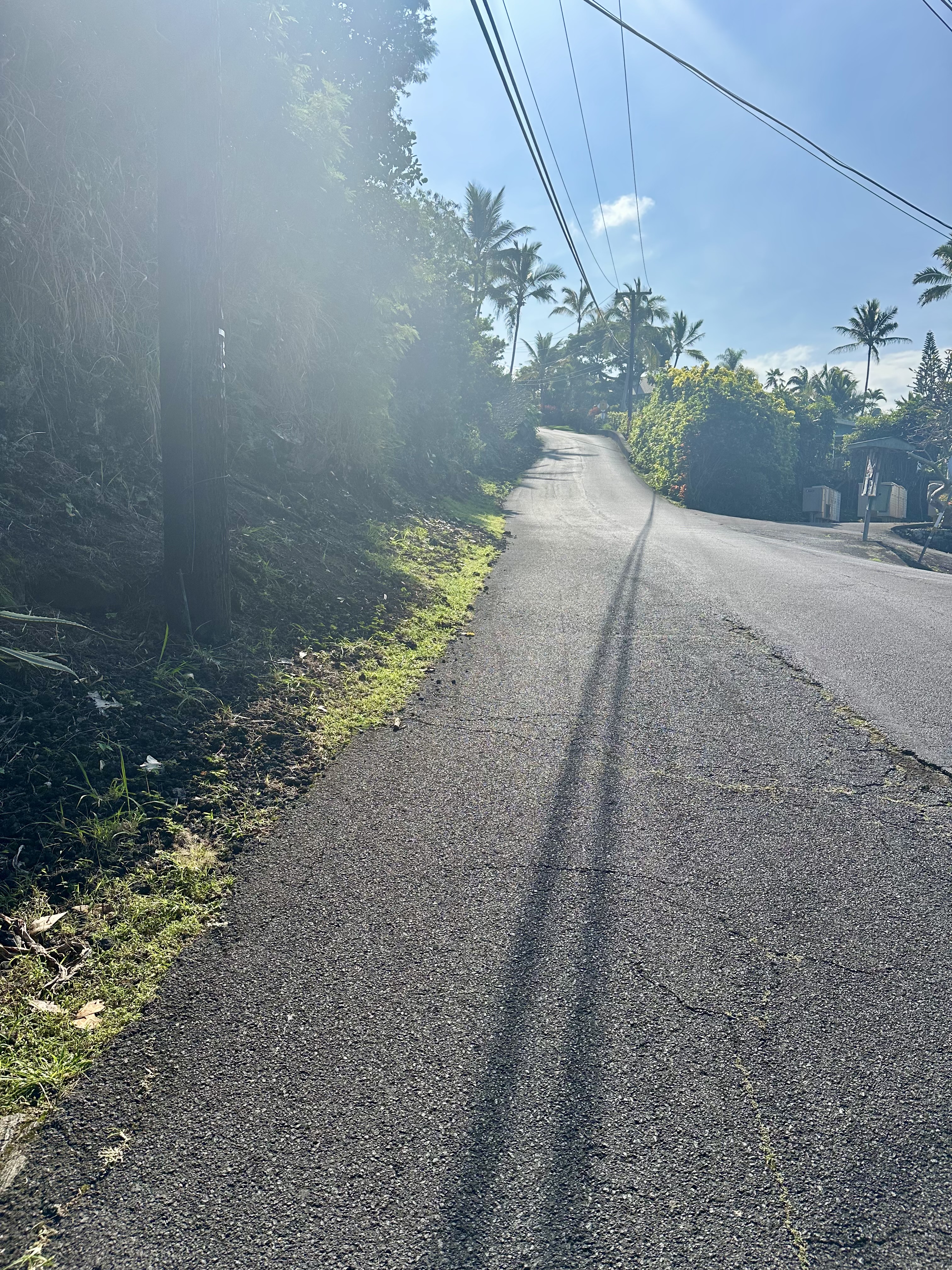 12 Kaohe Road Captain Cook, HI 96704 - Photo 11 of 12 a view of a pathway with a yard