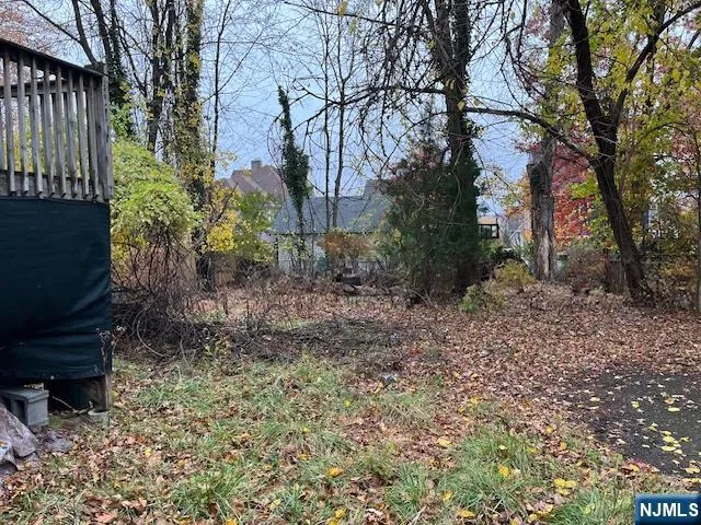 a view of a yard with plants and trees