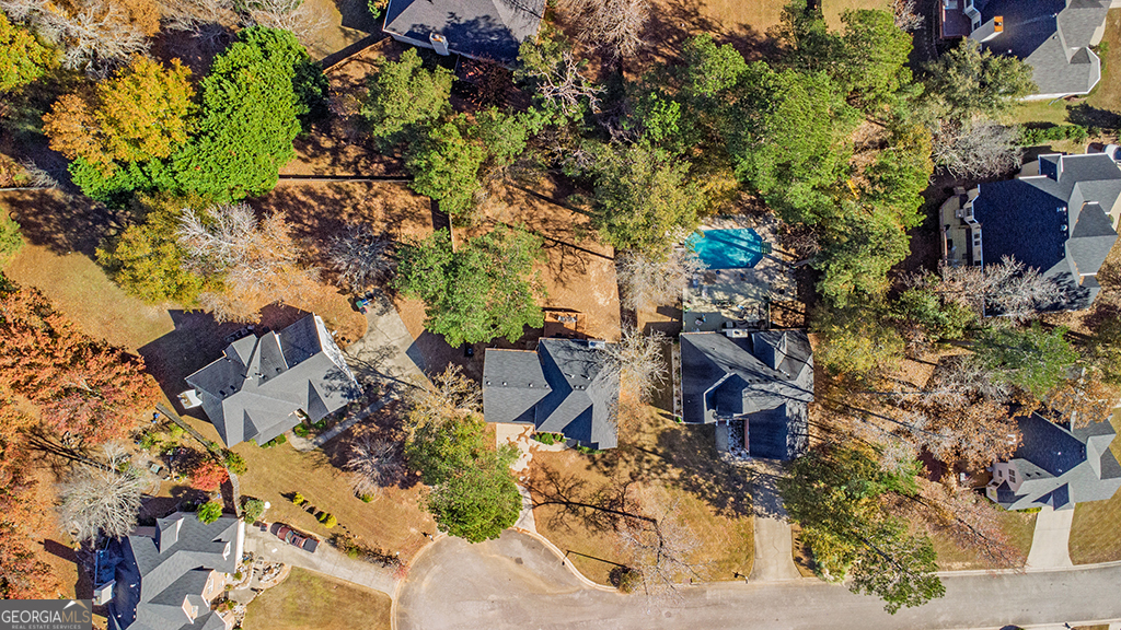 643 Millrun Court Macon, GA 31210 - Photo 9 of 45 a picture of trees