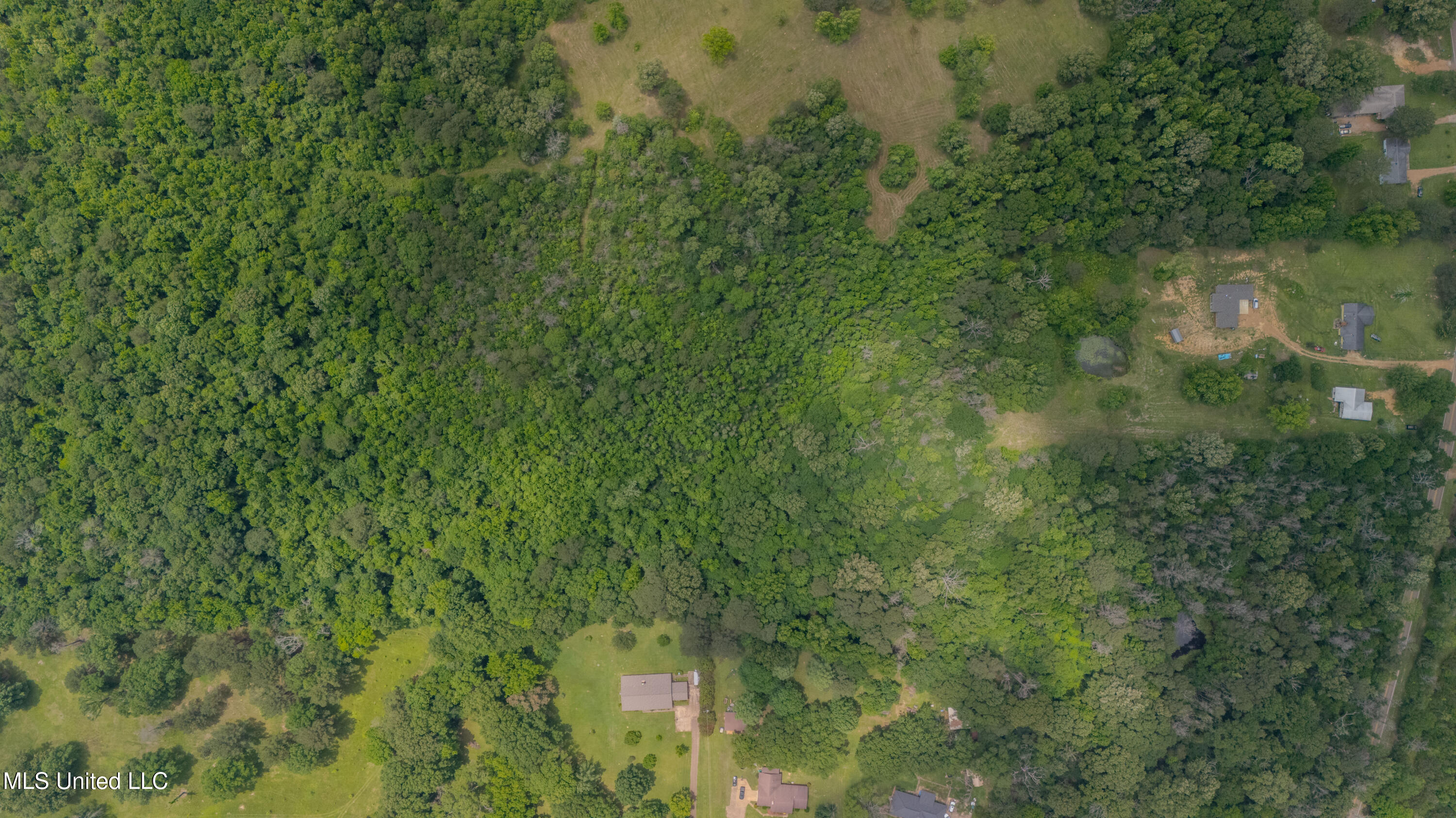 Oooo Big Creek Road Byram, MS 39212 - Photo 17 of 50 56.64 Acre-TERRY-MWLG-19