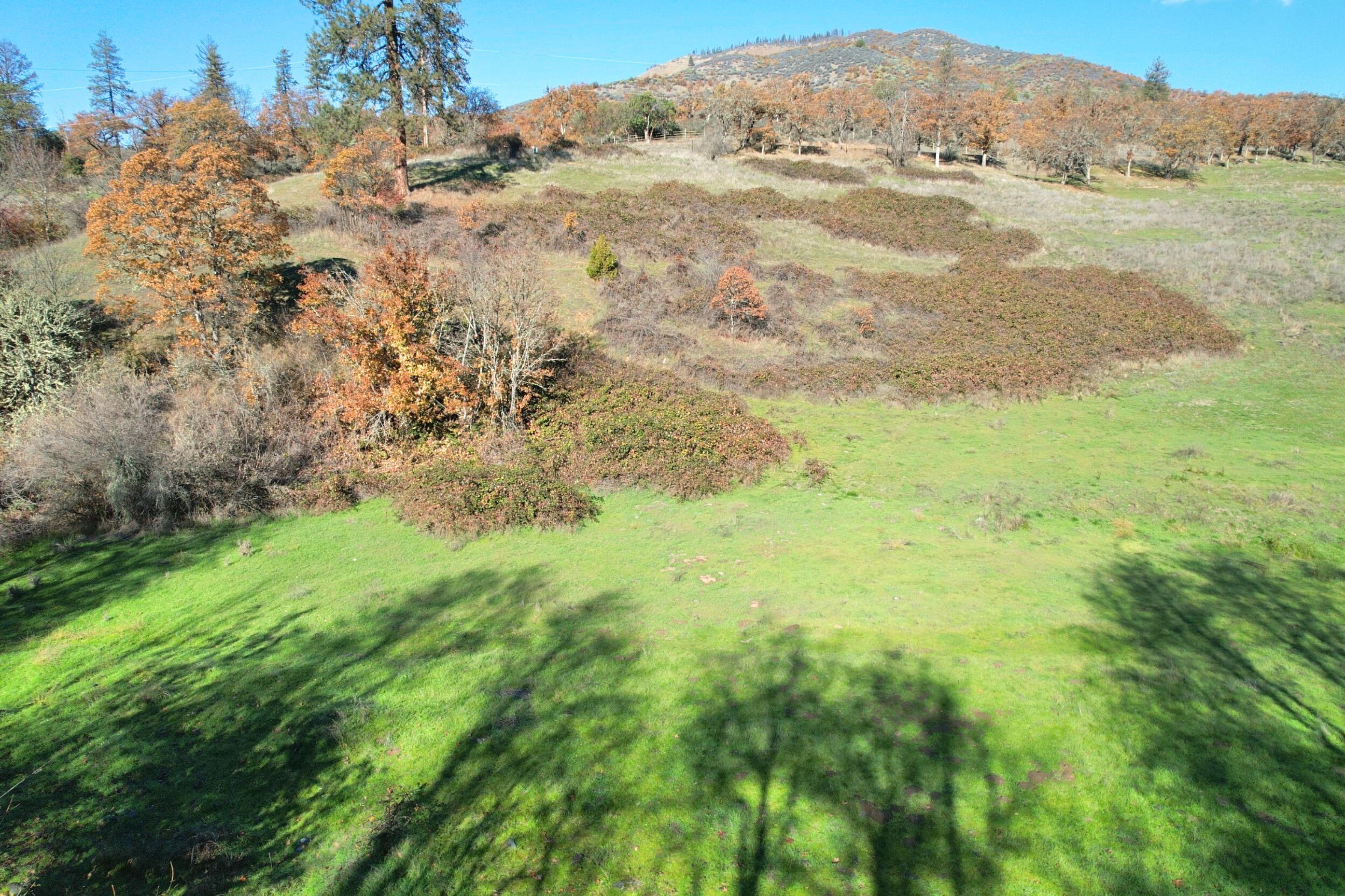 North Applegate Road Jacksonville, OR 97530 - Photo 45 of 51 from river looking N over east side
