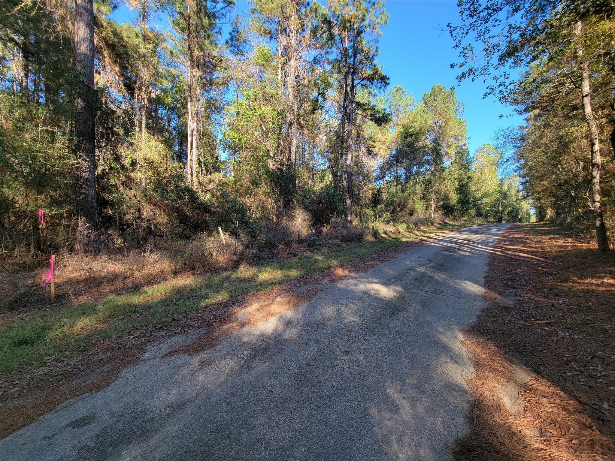 0 County Road 2125 Cleveland, TX 77327 - Photo 15 of 15