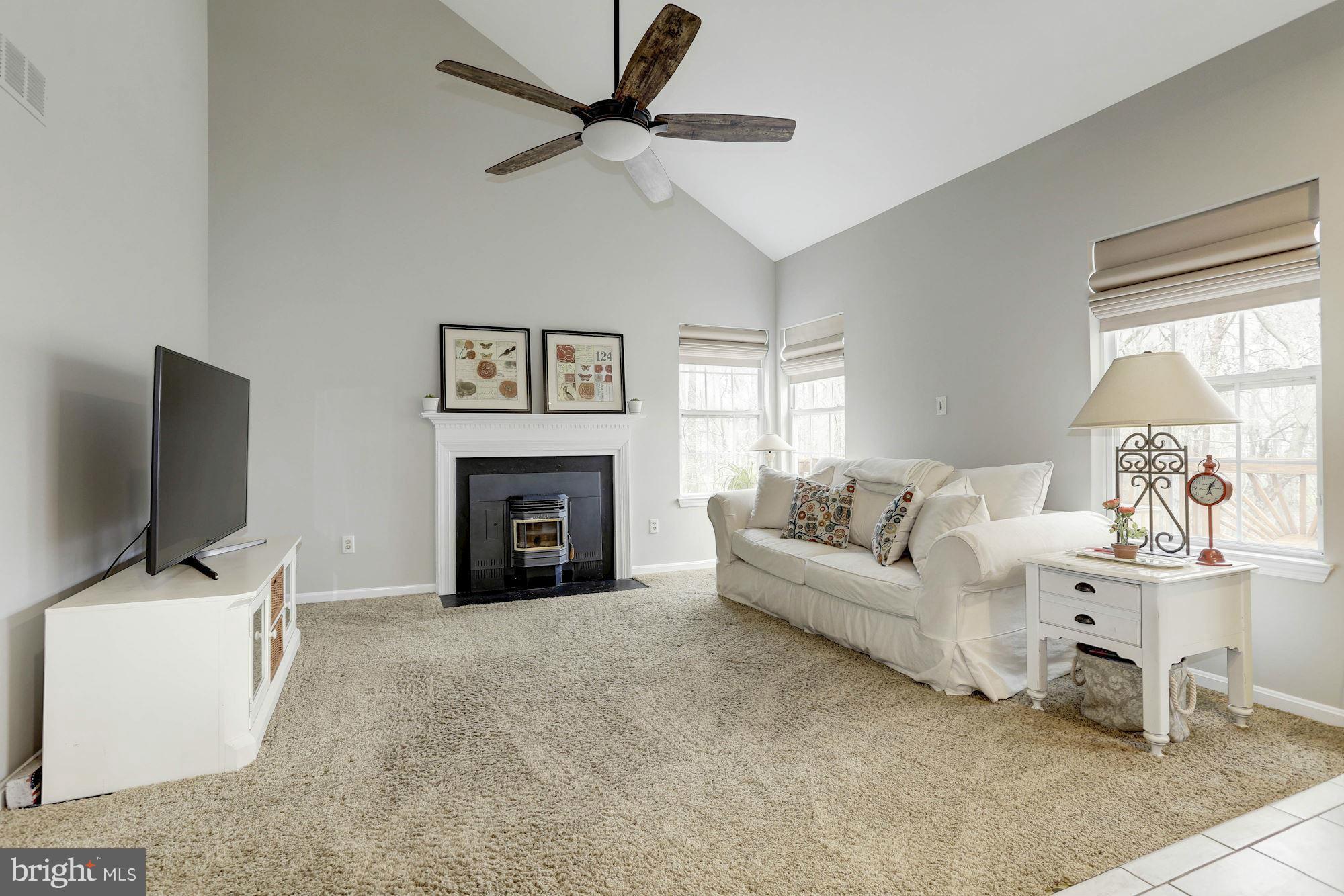 8338 Painted Rock Road Columbia, MD 21045 - Photo 10 of 30 Vaulted ceiling with Pellet stove