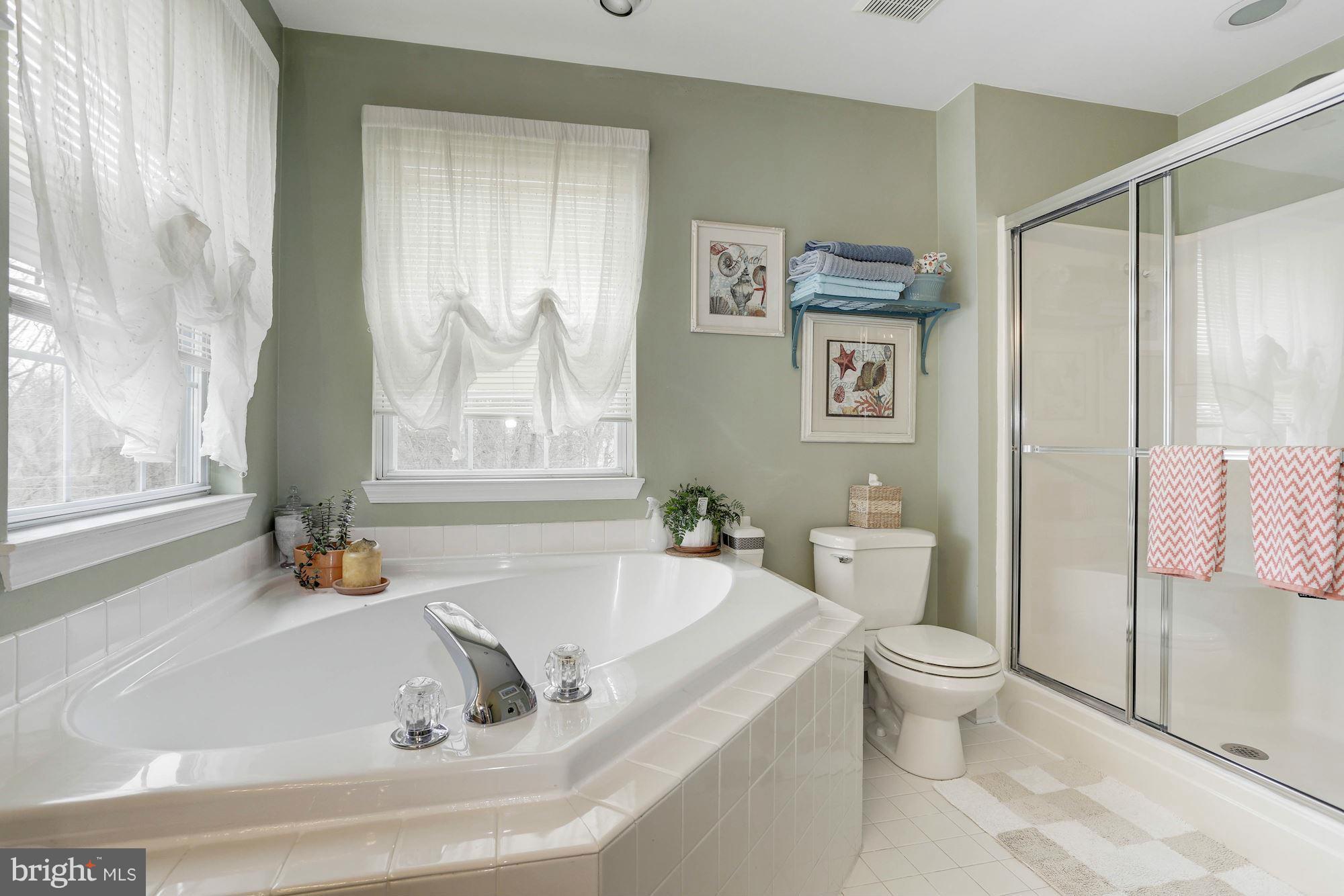 8338 Painted Rock Road Columbia, MD 21045 - Photo 16 of 30 Soaking garden tub and separate shower