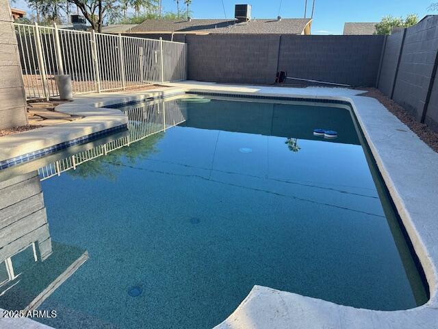 1025 West 12th Place Tempe, AZ 85281 - Photo 5 of 25 a view of swimming pool