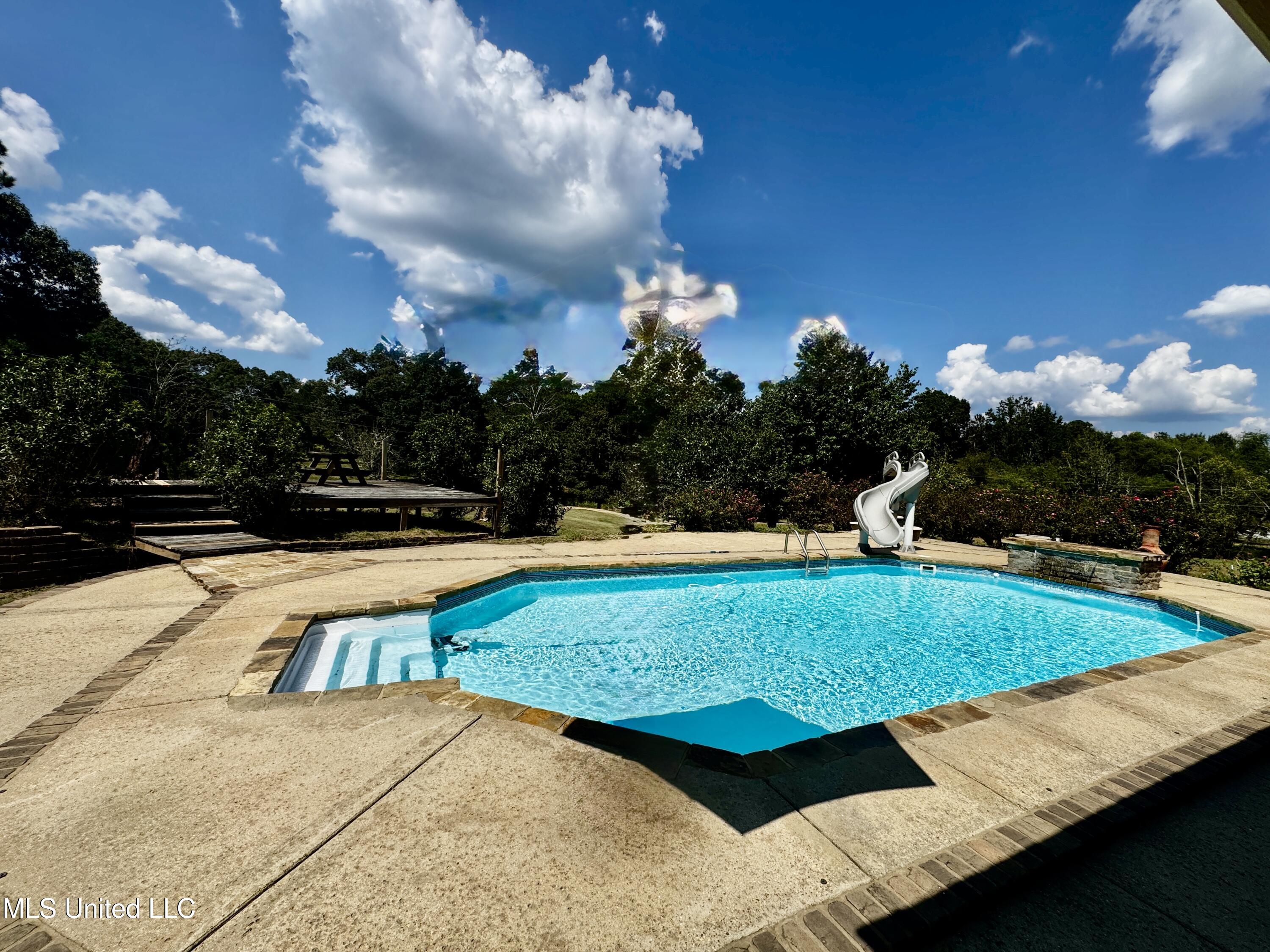 250 Everett Church Road Mendenhall, MS 39114 - Photo 55 of 94 IMG_4904