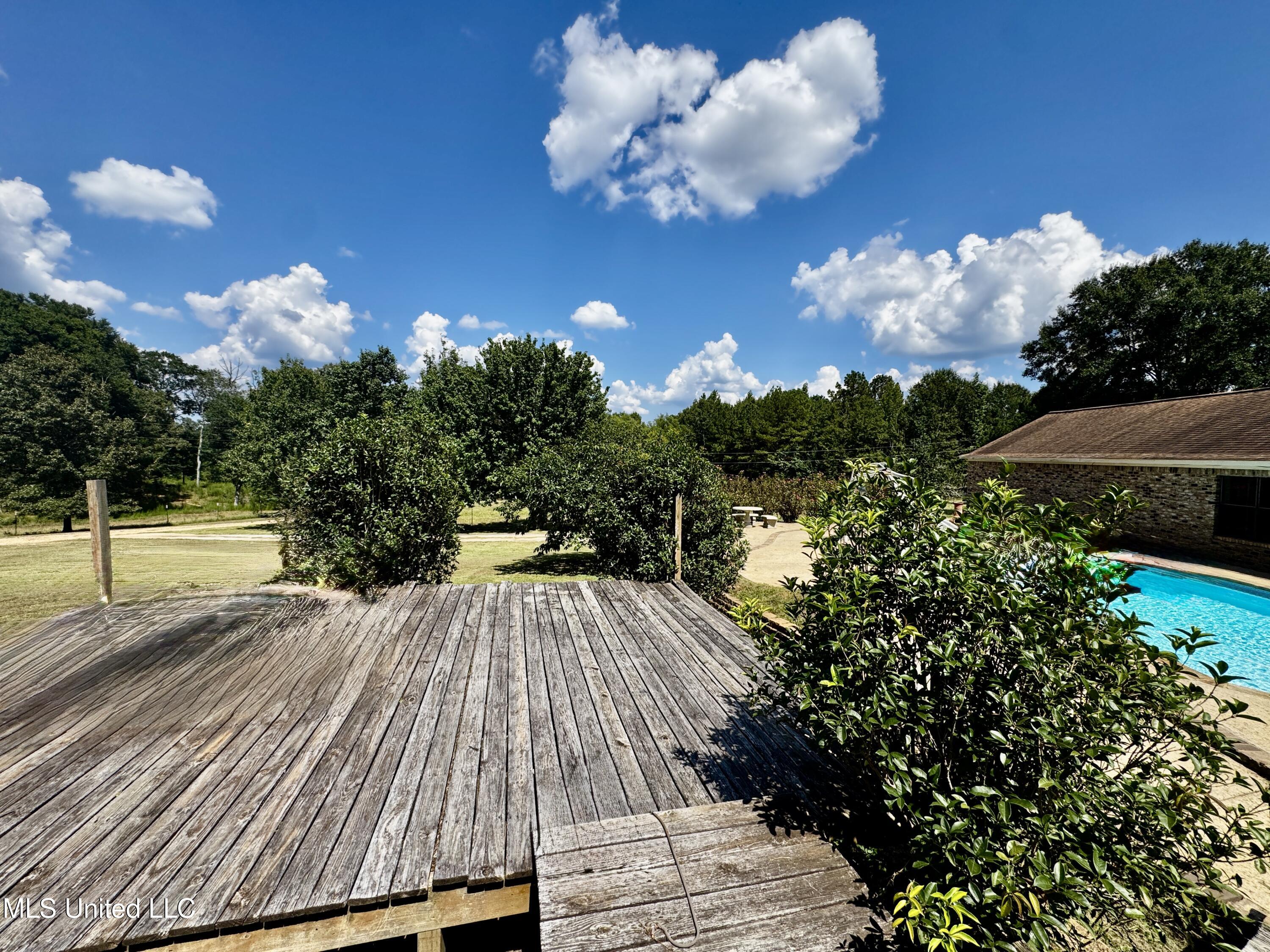 250 Everett Church Road Mendenhall, MS 39114 - Photo 59 of 94 IMG_4908