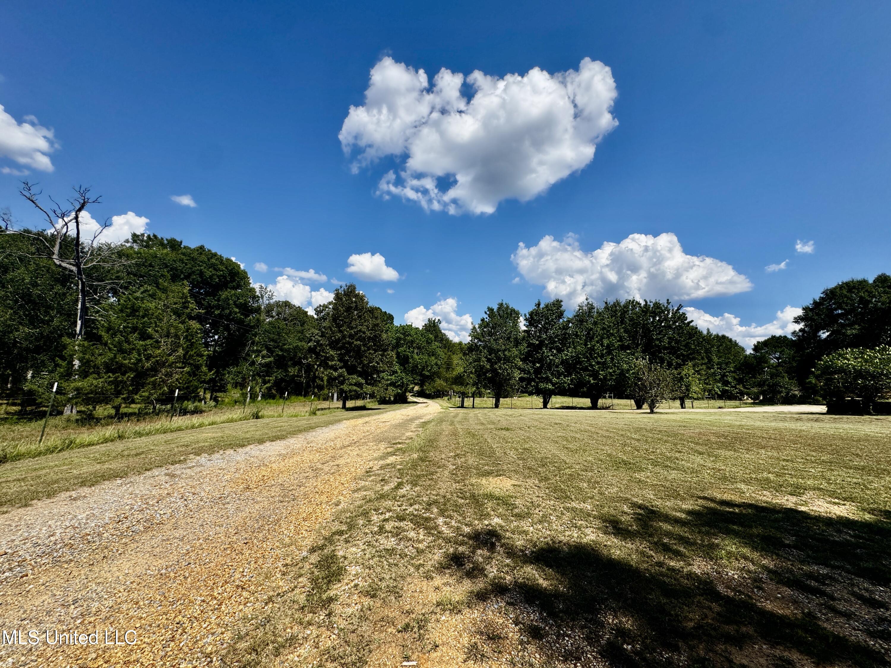250 Everett Church Road Mendenhall, MS 39114 - Photo 70 of 94 IMG_4917
