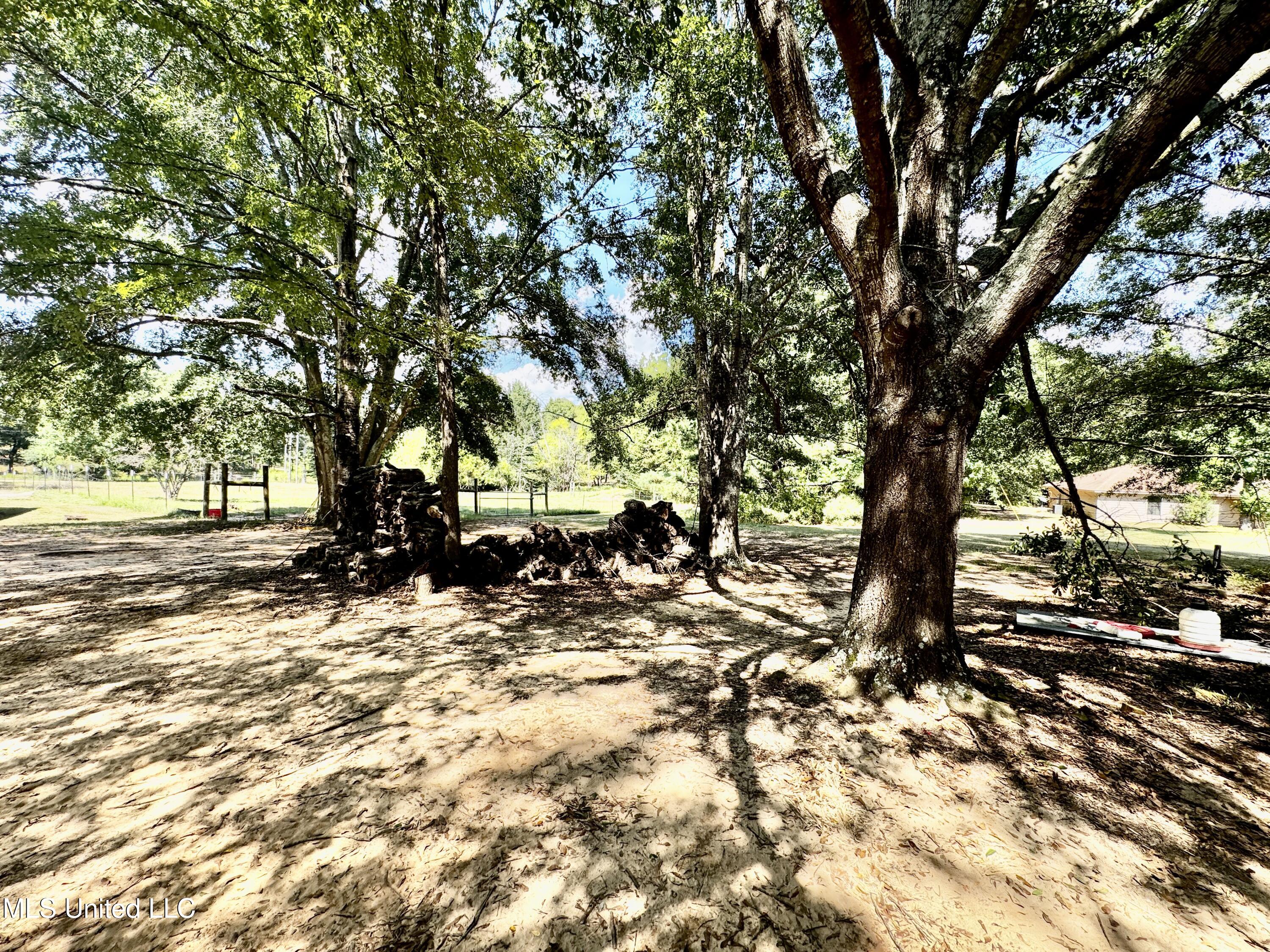 250 Everett Church Road Mendenhall, MS 39114 - Photo 81 of 94 IMG_4935