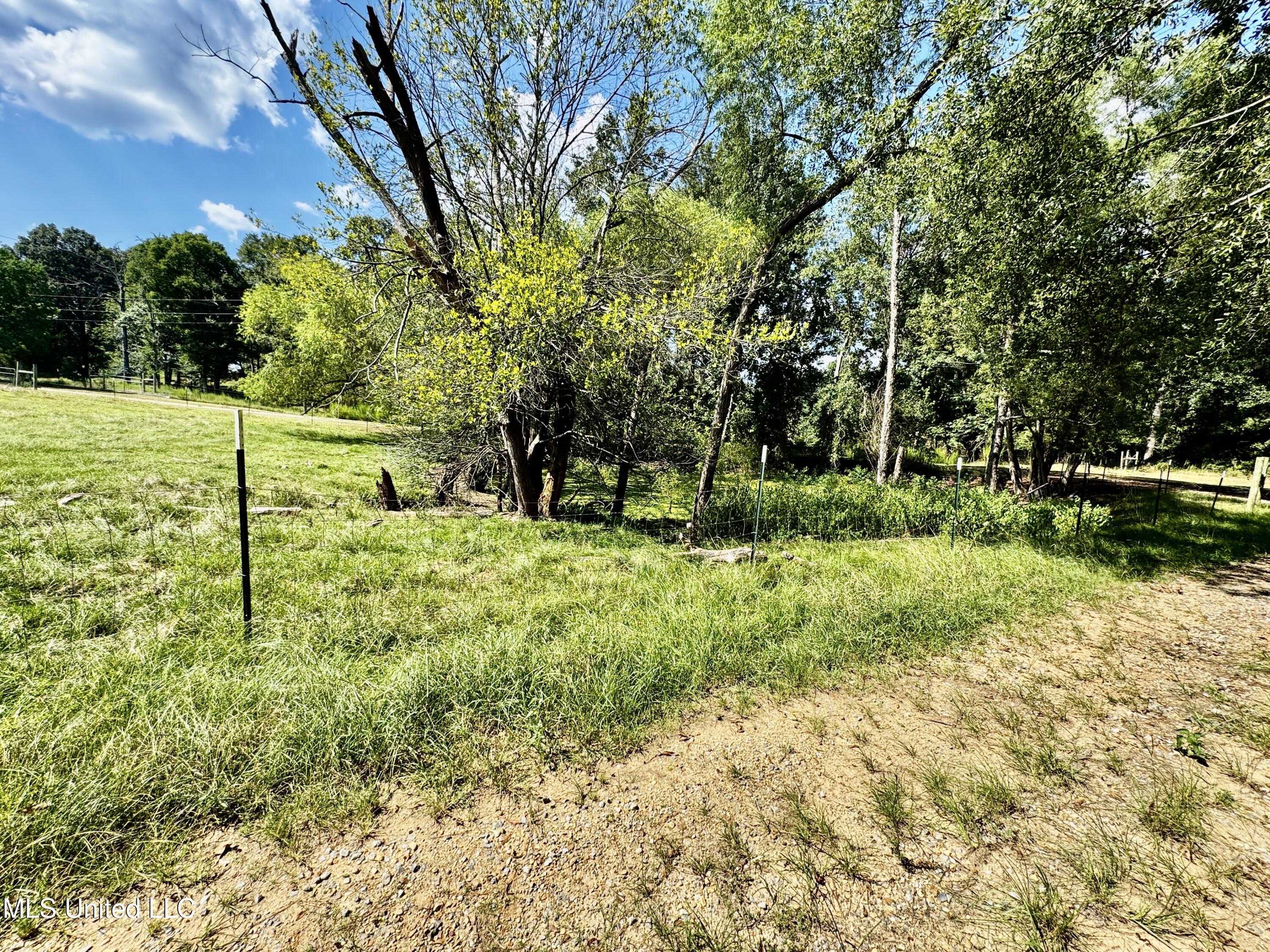 250 Everett Church Road Mendenhall, MS 39114 - Photo 93 of 94 IMG_4981