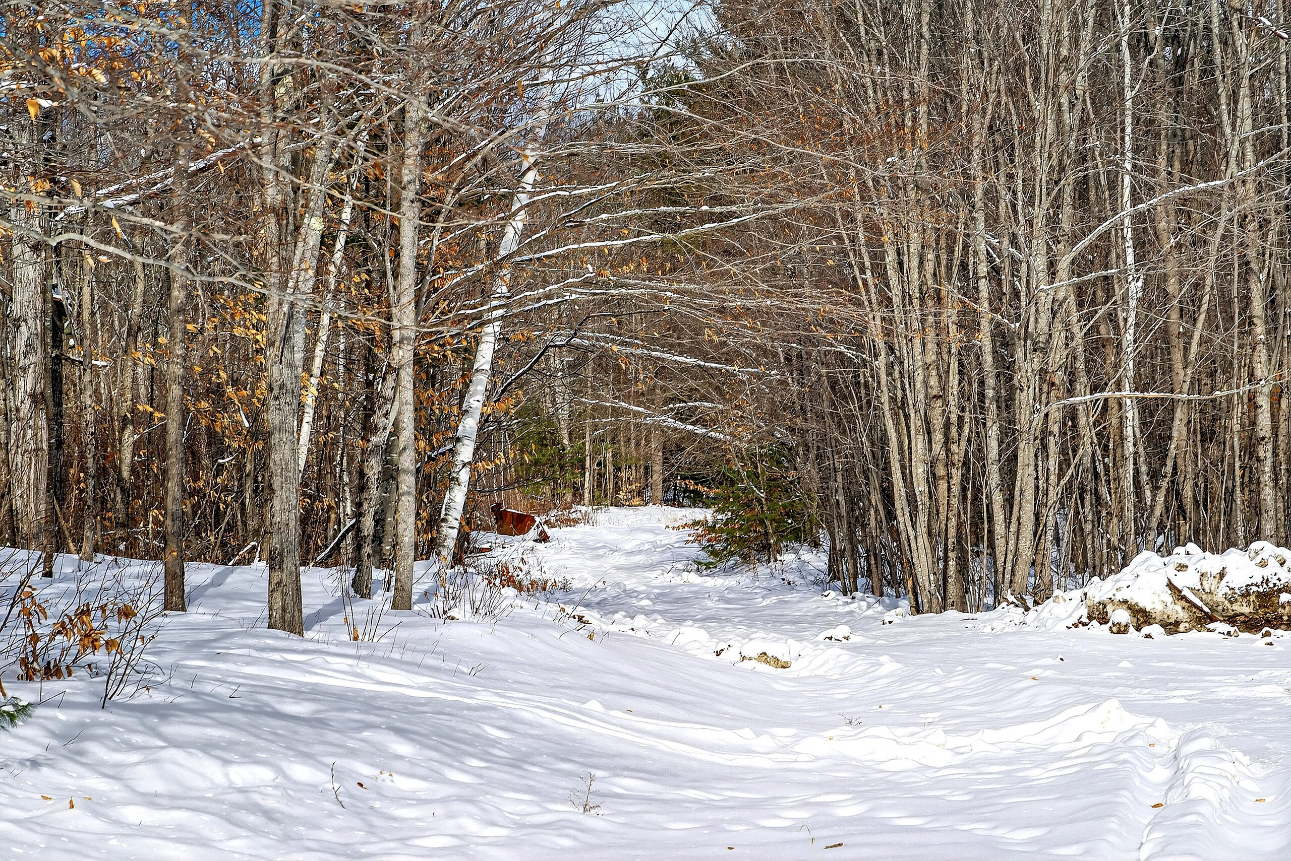 933 Bean Road Mount Vernon, ME 04352 - Photo 17 of 18 017_DSC06074