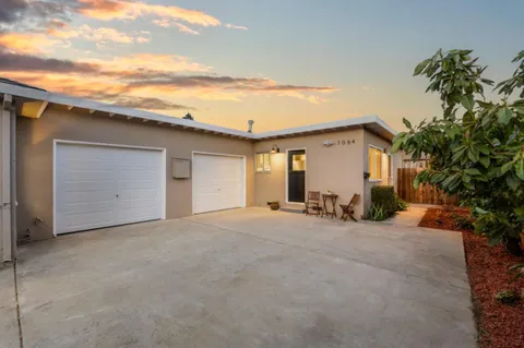 a living room with furniture a large window and a potted plant