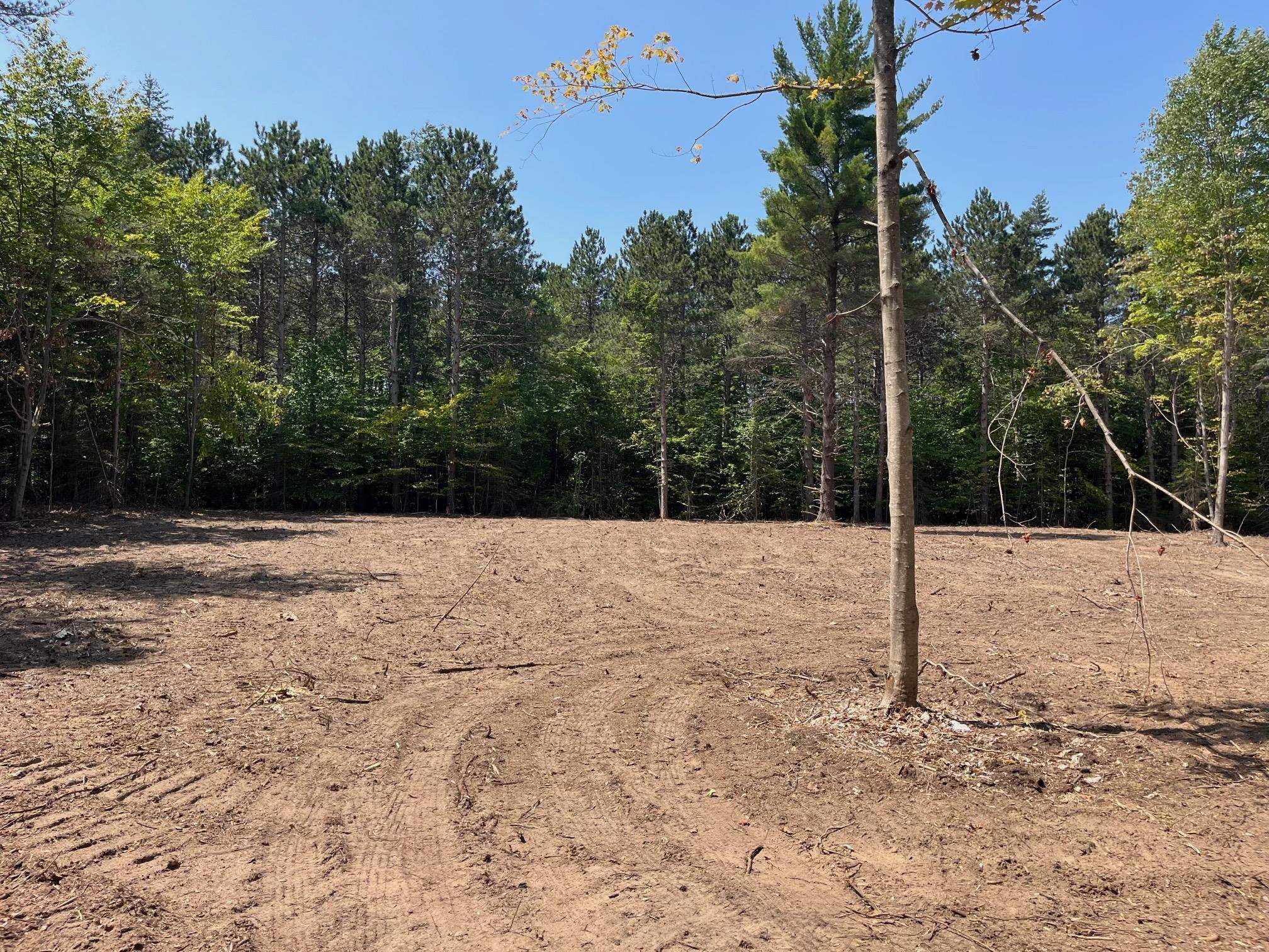 7 South Bright Road, Unit LOT: 7 Maple City, MI 49664 - Photo 7 of 14