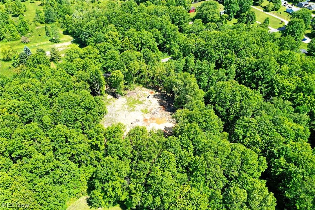 Mahan Denman Road Bristolville, OH 44402 - Photo 14 of 20