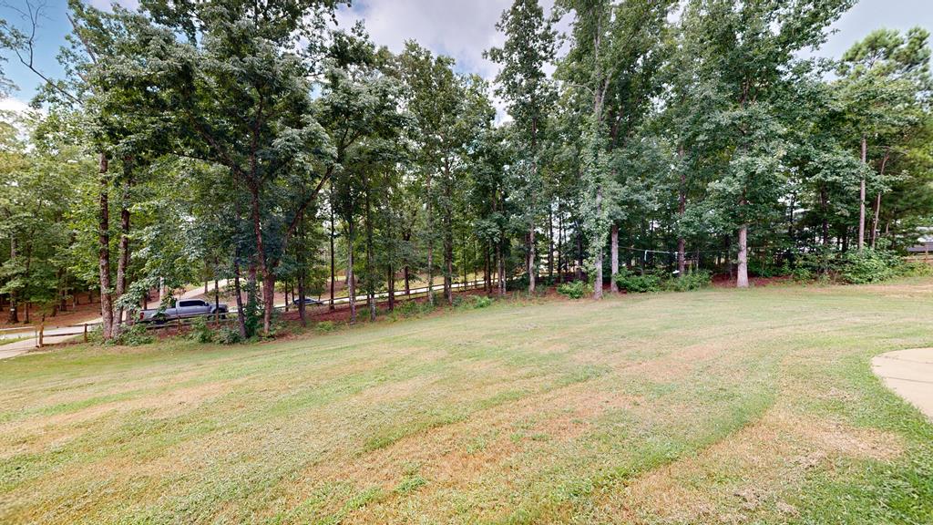 55 Bransford Lane Ellerslie, GA 31807 - Photo 3 of 52