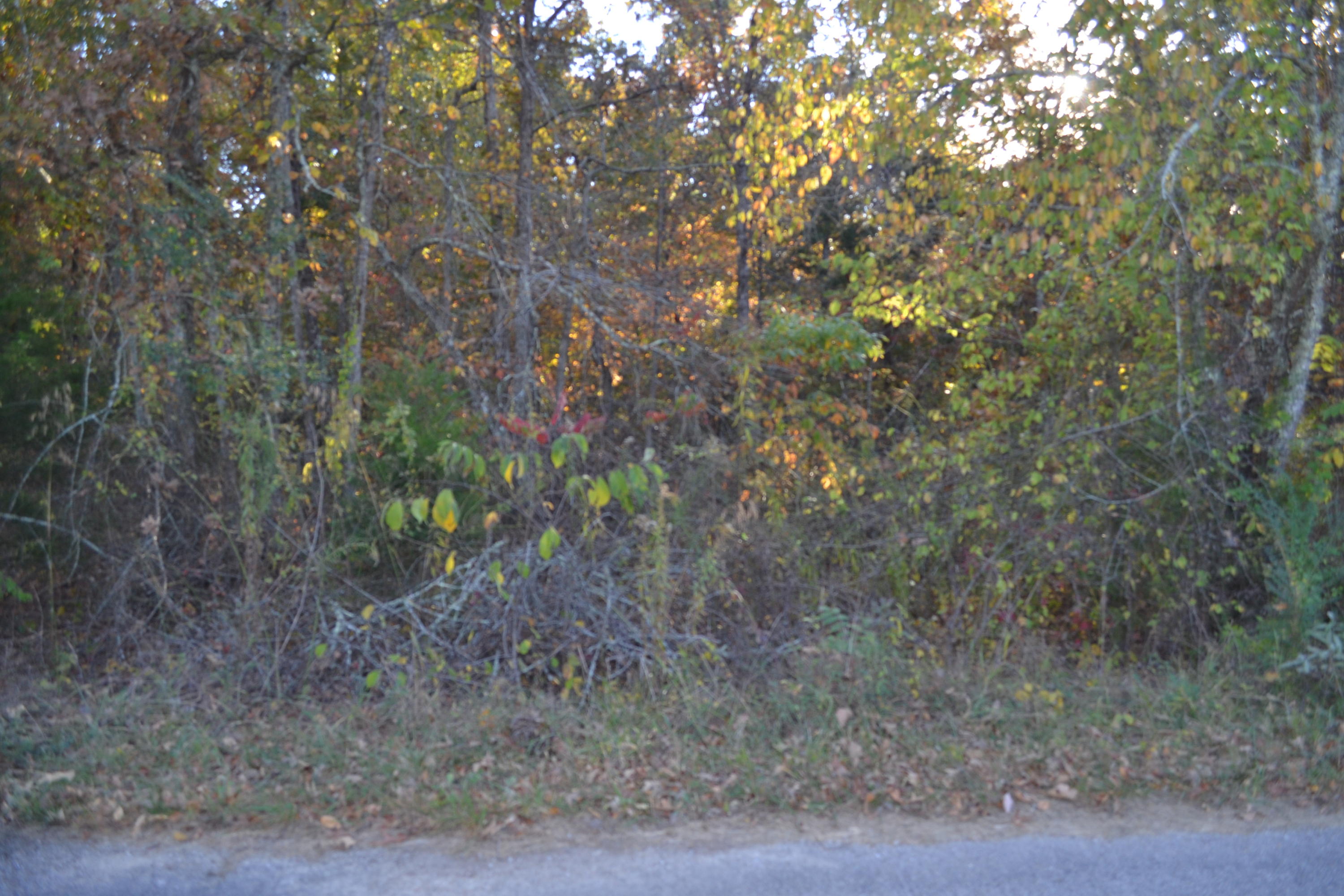 Rogers Road Crossville, TN 38571 - Photo 2 of 4 2