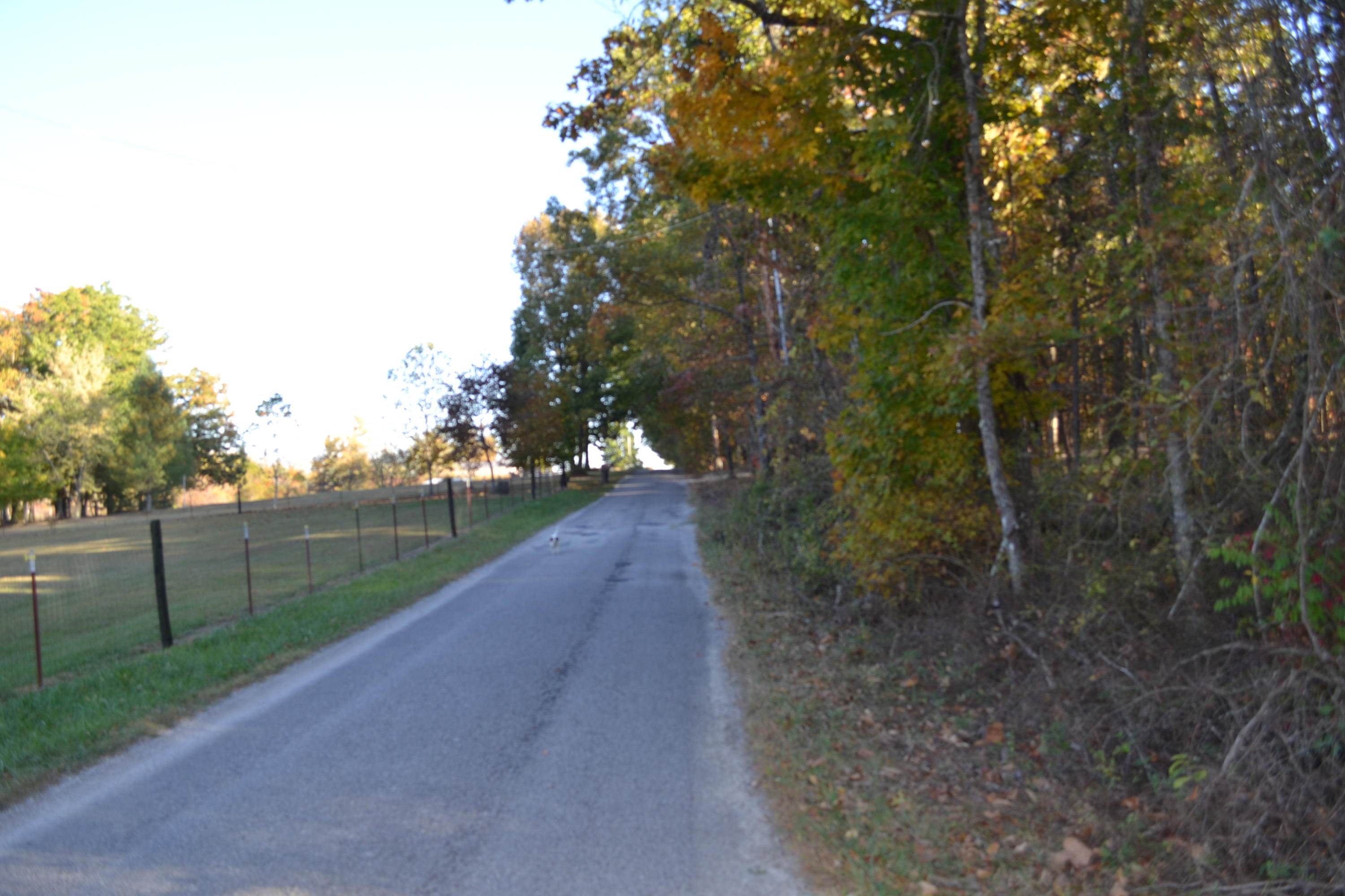 Rogers Road Crossville, TN 38571 - Photo 3 of 4 3