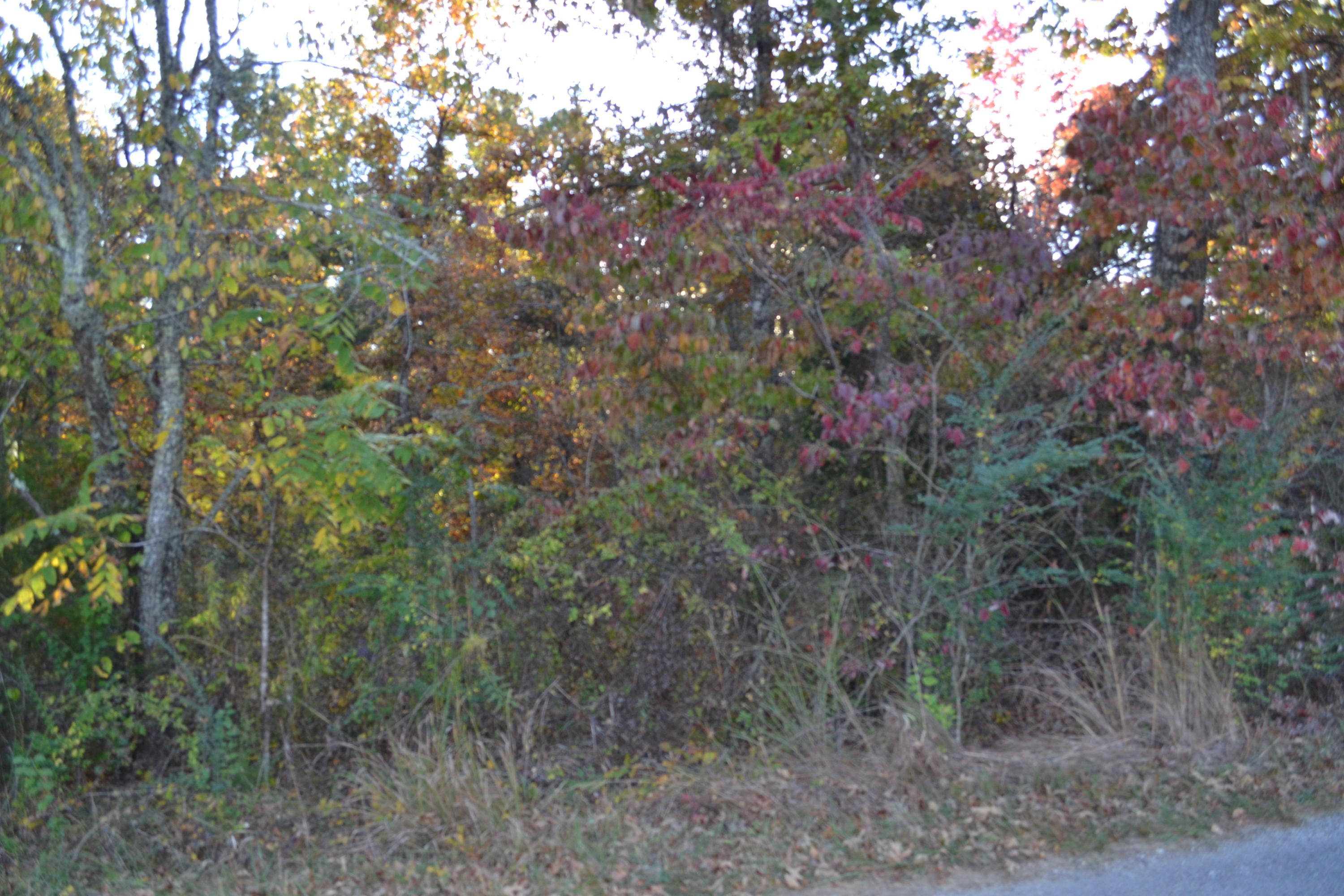 Rogers Road Crossville, TN 38571 - Photo 4 of 4 4