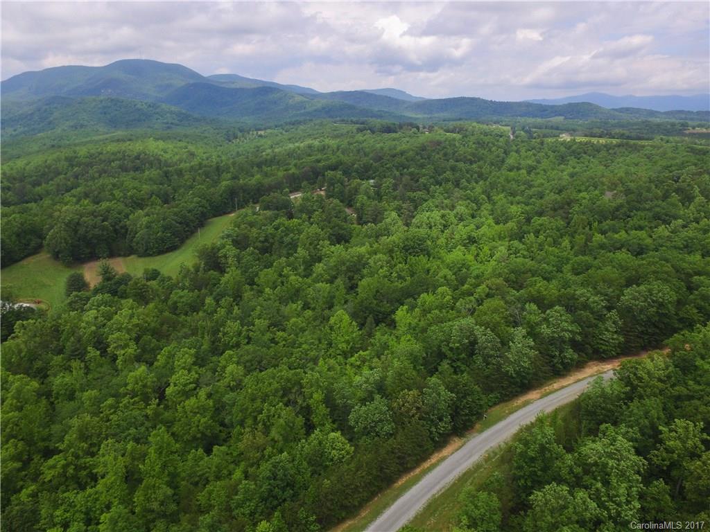 0 Pardo Road Landrum, SC 29356 - Photo 1 of 2 a view of a lush green hillside and a houses