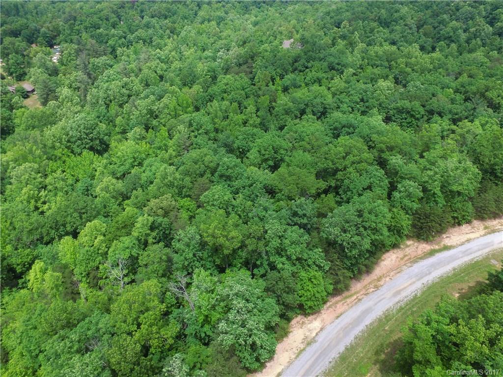 0 Pardo Road Landrum, SC 29356 - Photo 2 of 2 a view of a lush green forest