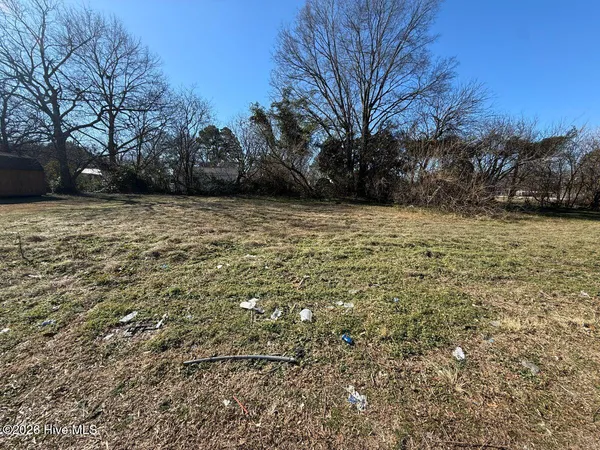 $14,900 | Off Of East Kornegay Street, Mount Olive, NC 28365