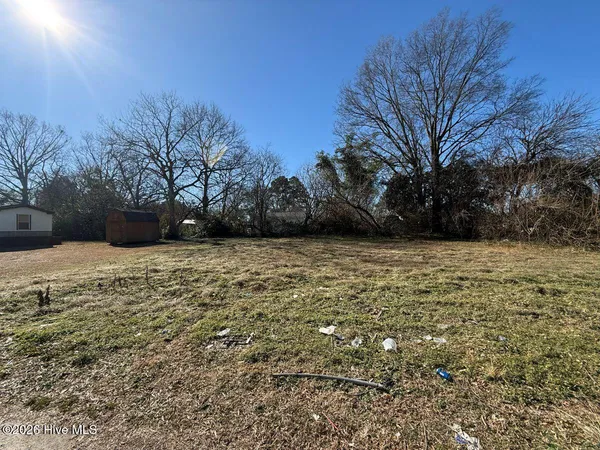 $14,900 | Off Of East Kornegay Street, Mount Olive, NC 28365