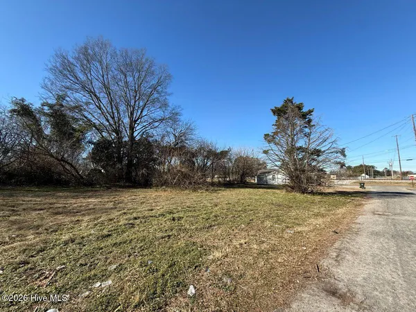 $14,900 | Off Of East Kornegay Street, Mount Olive, NC 28365