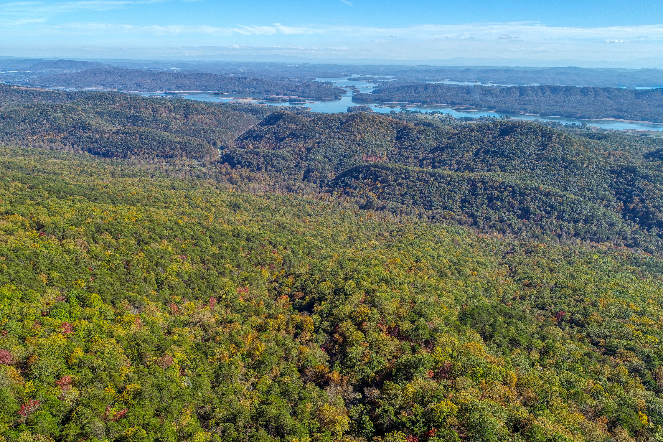 770 Lookout Mountain Road Bean Station, TN 37708 - Photo 4 of 40 C.Jackson. Lookout Mtn. Bean St MLSa (2