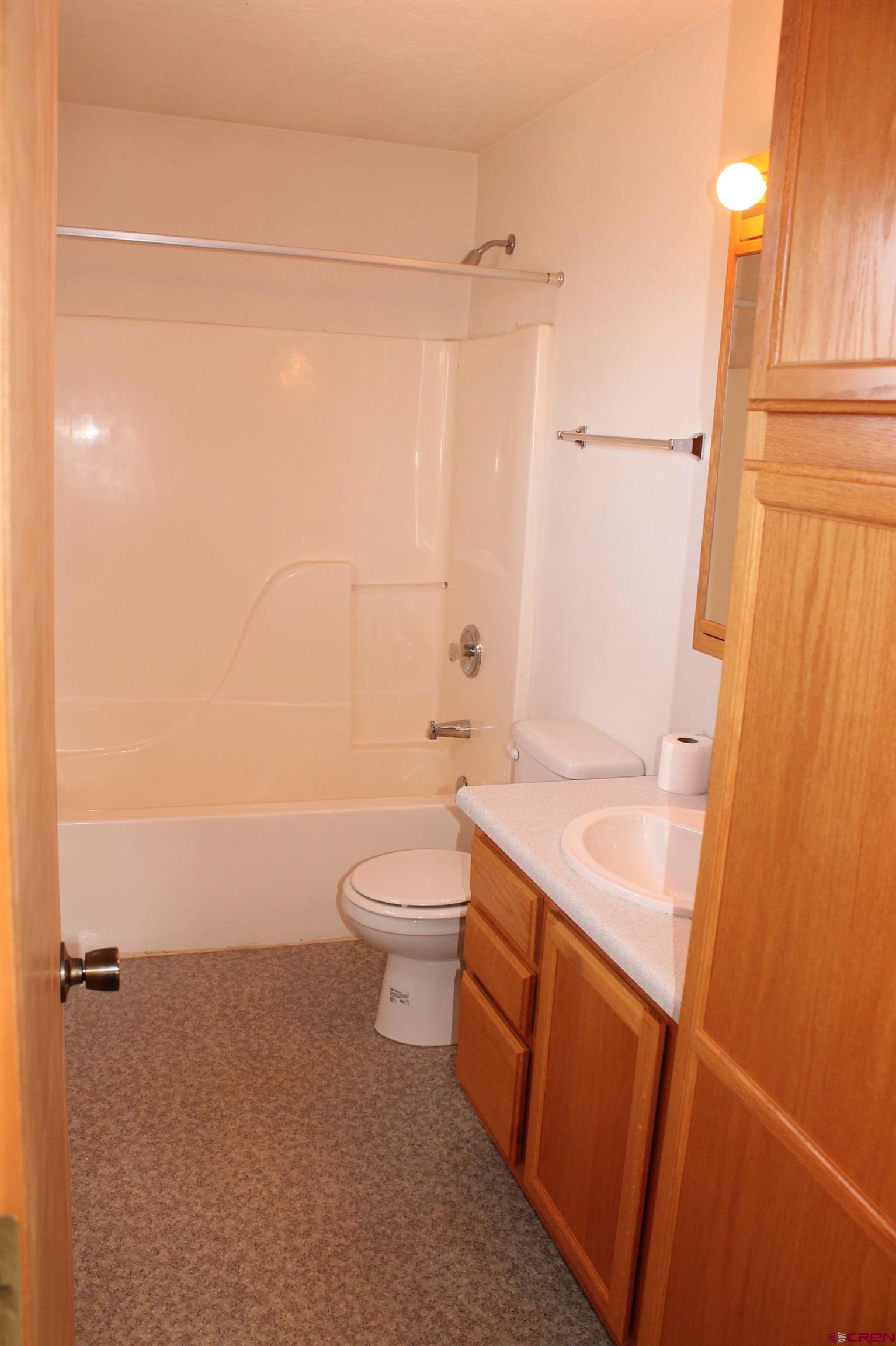2944 County Road 510 Durango, CO 81303 - Photo 19 of 38 a bathroom with a sink a toilet and shower