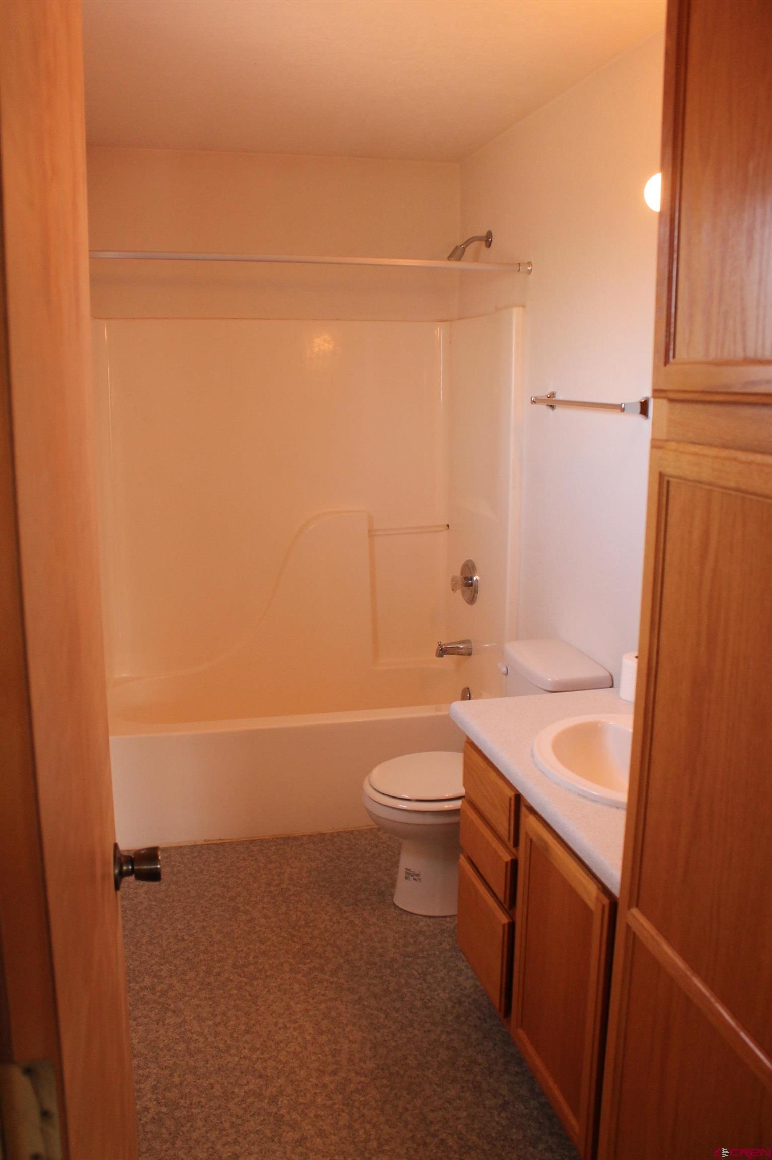 2944 County Road 510 Durango, CO 81303 - Photo 20 of 38 a bathroom with a sink a toilet and shower